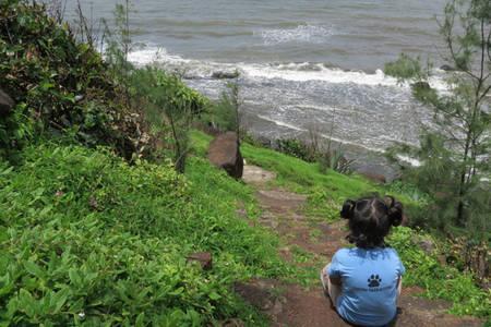 Dāpoli Varshavan- Nature, Hobby And Art Residency酒店 外观 照片