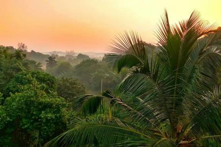 Dāpoli Varshavan- Nature, Hobby And Art Residency酒店 外观 照片